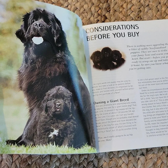 Newfoundlands Complete Owner's Manual, paperback book, Barron's - Picture 2 of 7